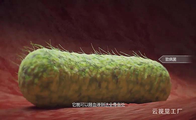 医学3D三维动画巨噬细胞